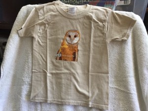 Barn Owl - Tan