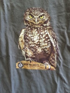 Burrowing Owl dark gray