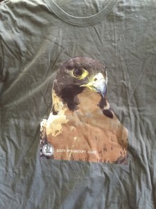 Peregrine - DARK GREY